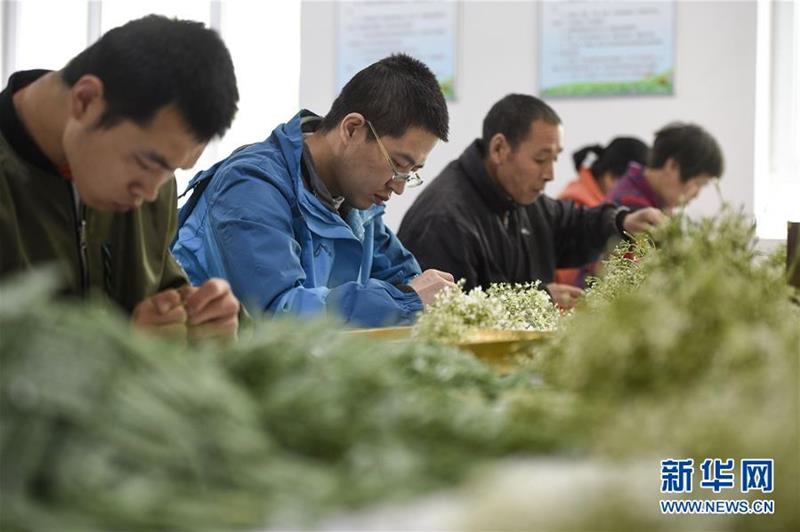 （在習(xí)近平新時(shí)代中國(guó)特色社會(huì)主義思想指引下——新時(shí)代新作為新篇章·習(xí)近平總書(shū)記關(guān)切事·圖文互動(dòng)）（5）六盤(pán)山下的誓言——來(lái)自寧夏的脫貧故事