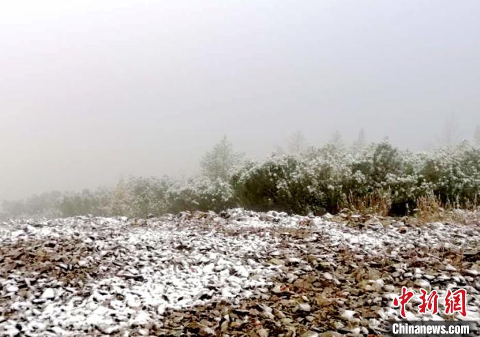 降雪現(xiàn)場?！⊥跄菽?攝