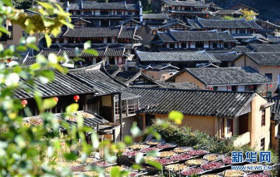 （美麗中國(guó)）（5）福建尤溪：詩(shī)意桂峰 曬秋人家