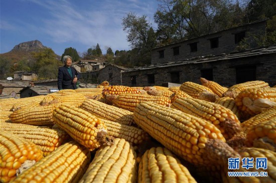 （社會(huì)）（5）茶舊溝村：傳統(tǒng)村落古韻來(lái)