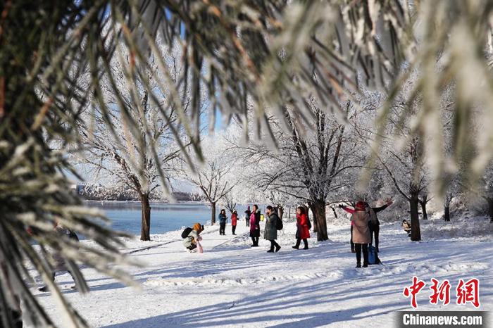 外地游客喜見(jiàn)霧凇 蒼雁 攝