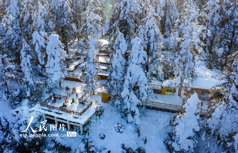 2020年12月23日拍攝的瓦屋山雪景。