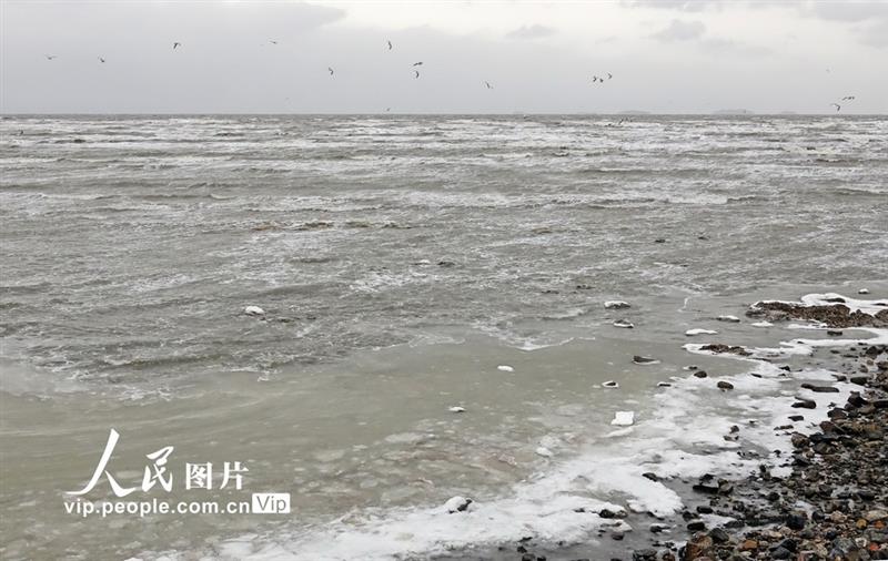 12月29日，遼寧省大連夏家河海濱浴場近海區(qū)出現(xiàn)結(jié)冰。