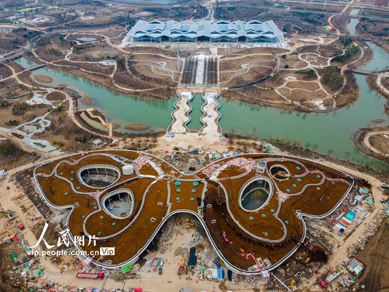 上海崇明：花博會(huì)建設(shè)如火如荼【4】