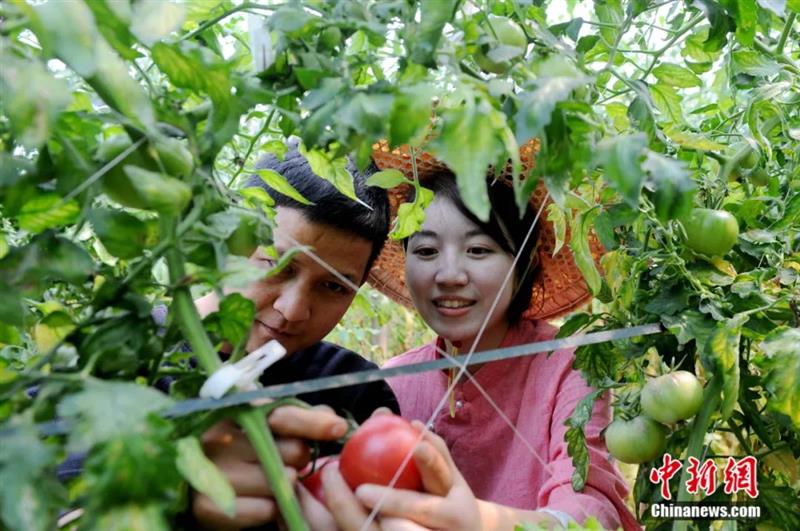 點擊進入下一頁