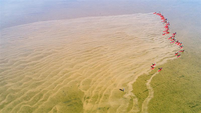 如圖片無法顯示，請(qǐng)刷新頁面