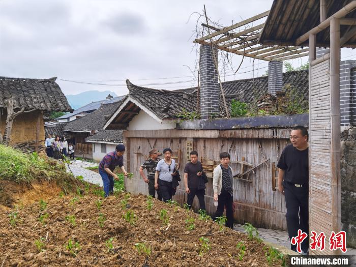圖為游客游覽花茂村 周燕玲 攝