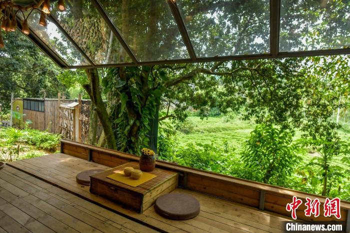 盒子書房白天能席地而坐聽鳥語蟬鳴，夜晚能看滿天星星。　駱云飛 攝