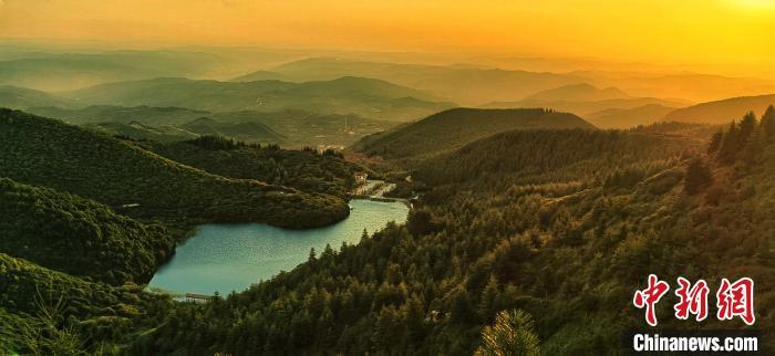 黃土高原“林海”護(hù)林員：“行走的綠色”越來(lái)越大