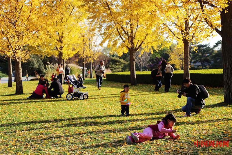 北京植物園秋日.jpg
