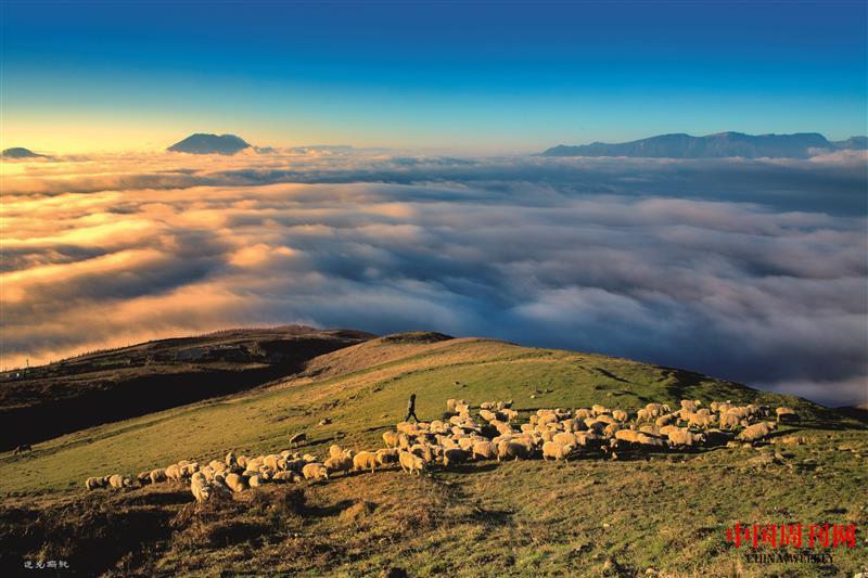 2-云海牧羊（永善宣傳部供圖）.jpg