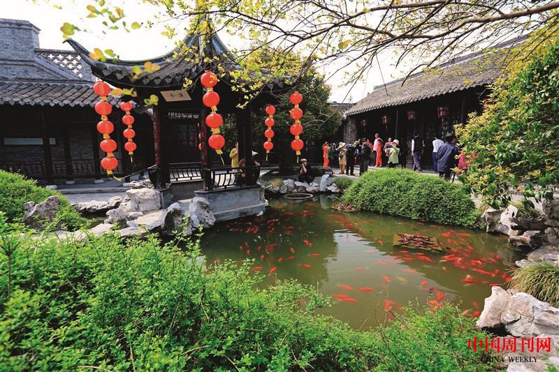 蓮?fù)?jpg 蓮?fù)?jpg