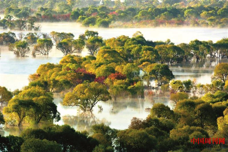 詩畫南湖.jpg 詩畫南湖.jpg