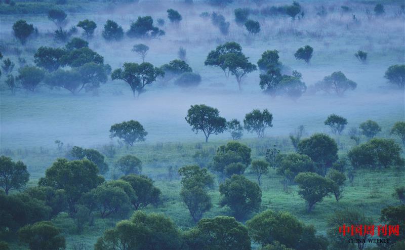 雙鴨山南湖之晨.jpg 雙鴨山南湖之晨.jpg
