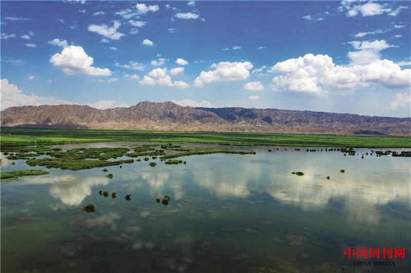 青銅峽鳥島.jpg 青銅峽鳥島.jpg