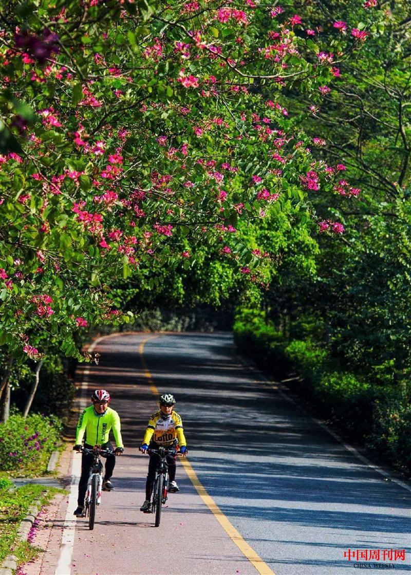 東莞市大嶺山森林公園.jpg 東莞市大嶺山森林公園.jpg