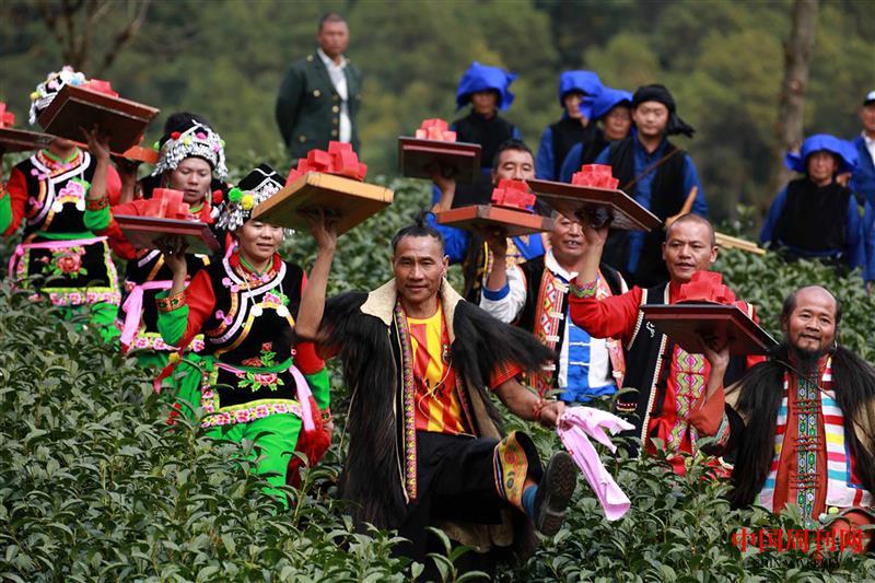 茶園跳菜.jpg 茶園跳菜.jpg