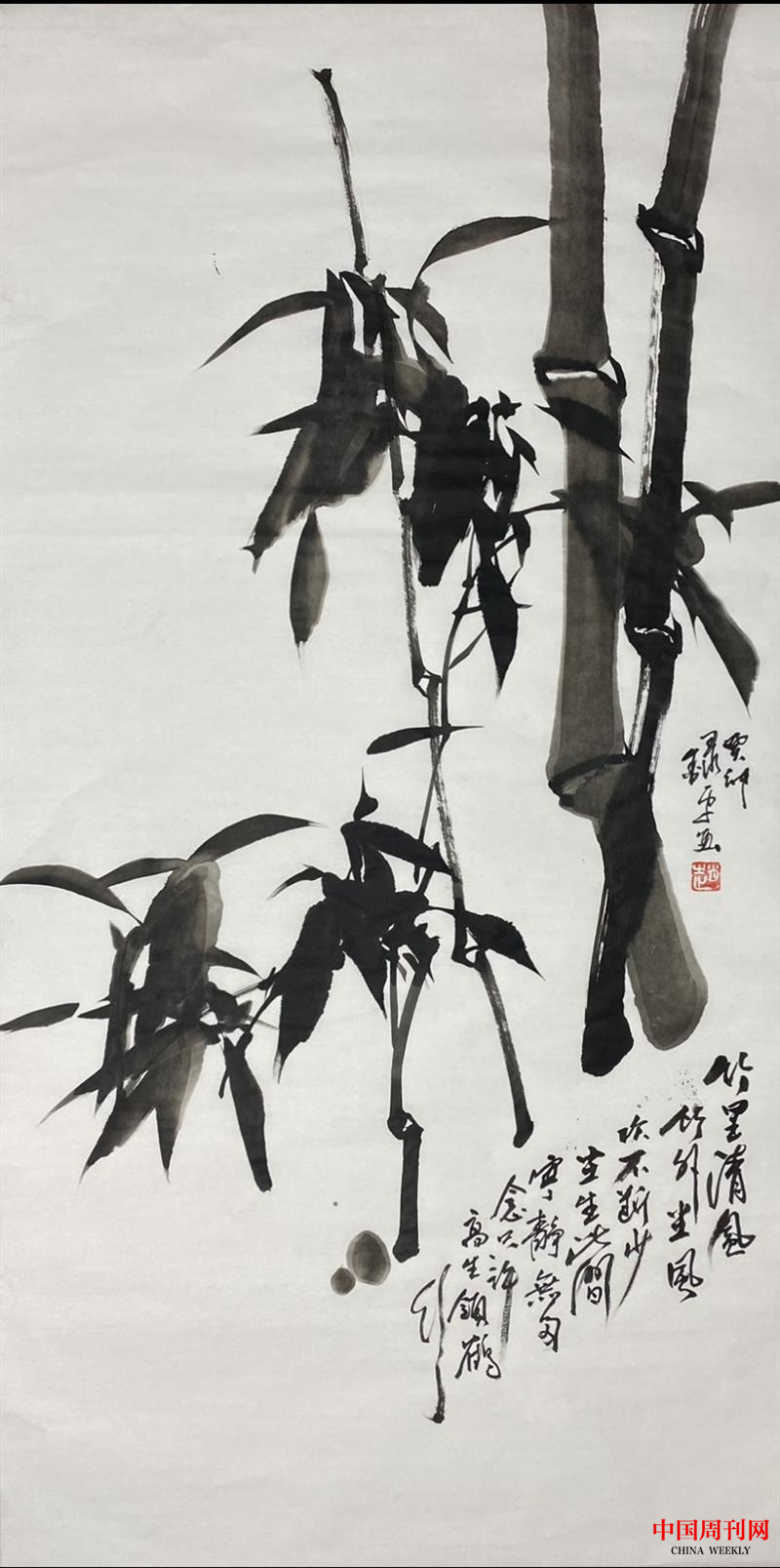 勁節(jié)拂云喚高風(fēng)——趙錄平墨竹藝術(shù)漫談